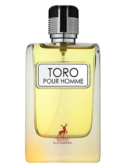 Toro Pour Homme