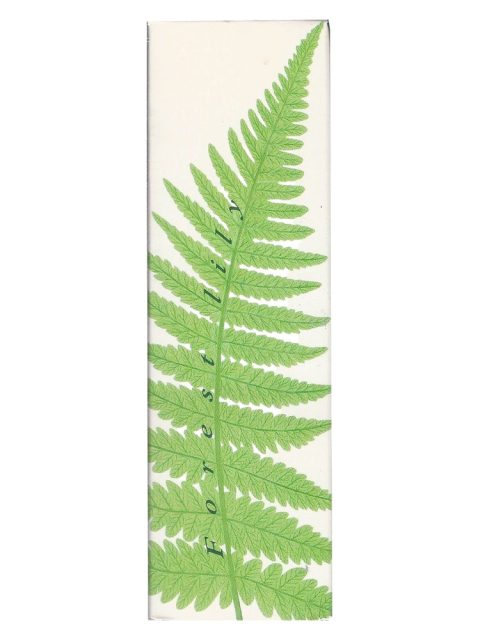 Forest Lily