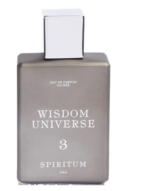 3 Wisdom Universe