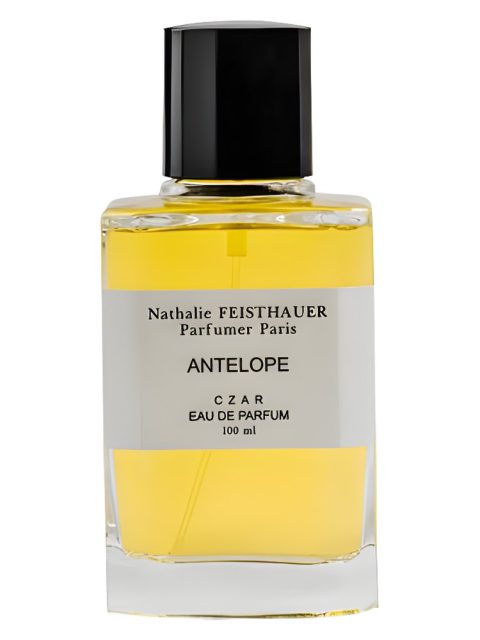 Antelope X Nathalie Feisthauer