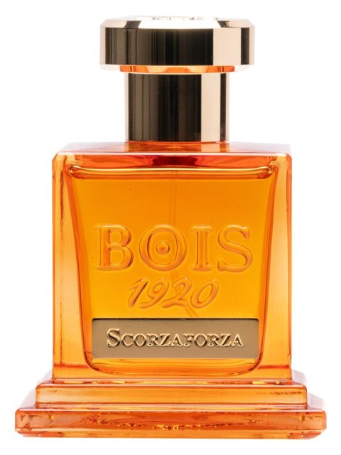 Scorzaforza
