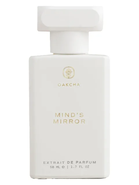 Mind's Mirror