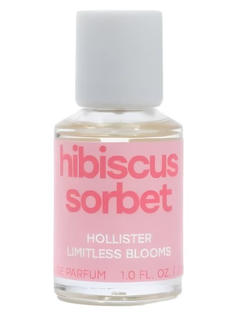 Hibiscus Sorbet