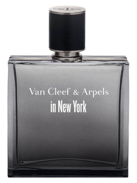 In New York