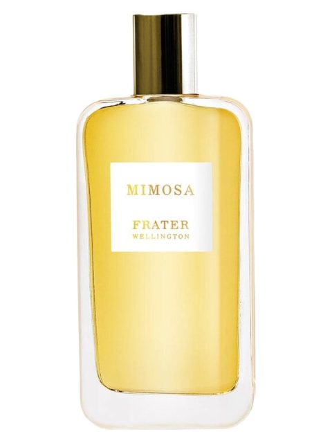 Mimosa