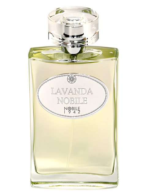 Lavanda Nobile