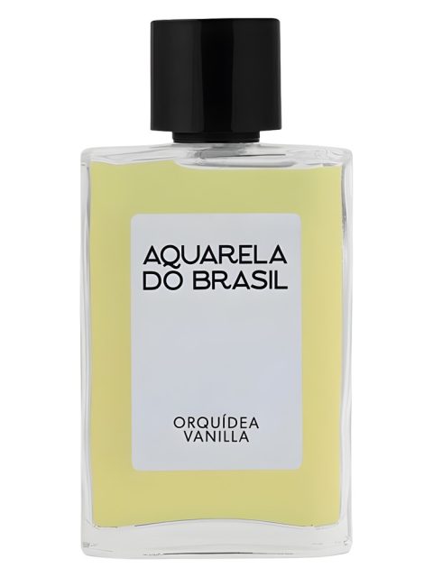 Orquídea Vanilla