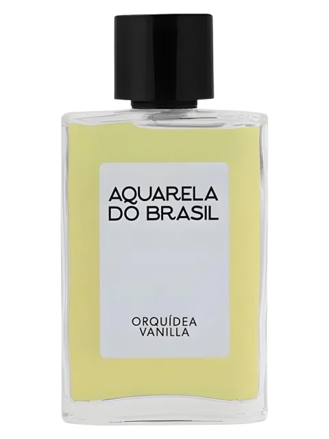 Orquídea Vanilla