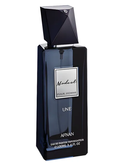 Modest Pour Homme Une