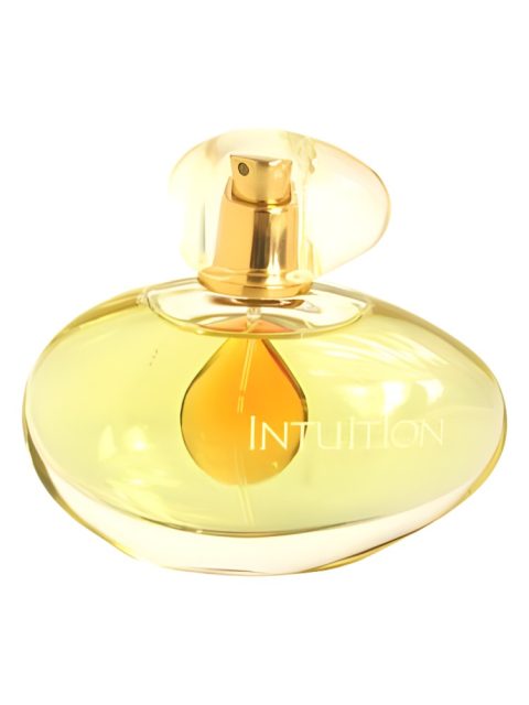 Intuition