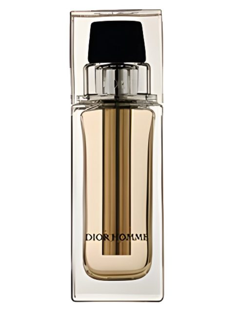 Dior Homme Voyage
