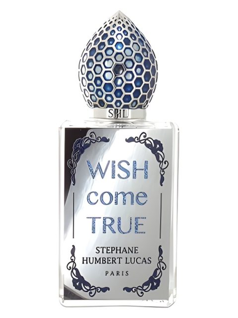 Wish Come True