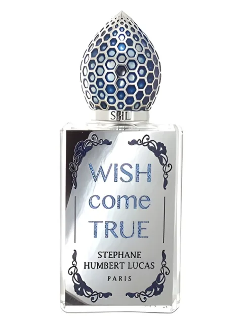 Wish Come True