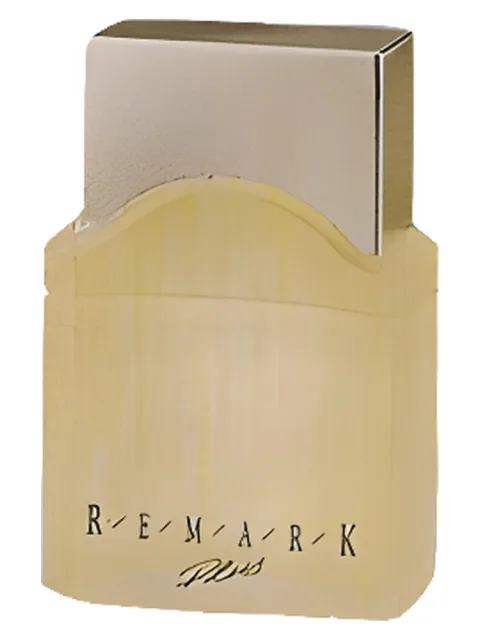 Remark Plus