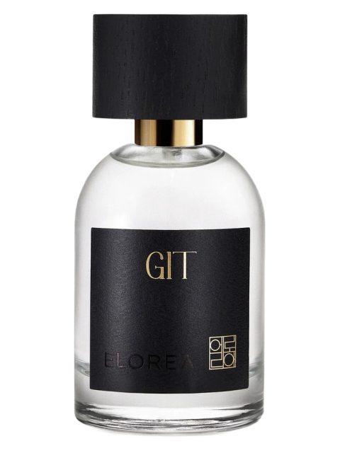 GIT (깃)