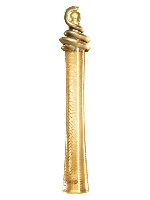 Roberto Cavalli Oro