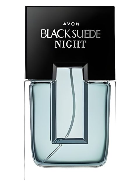 Black Suede Night