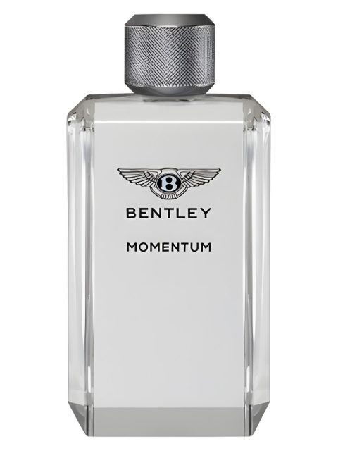 Momentum