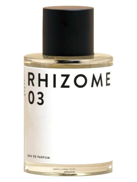 Rhizome 03