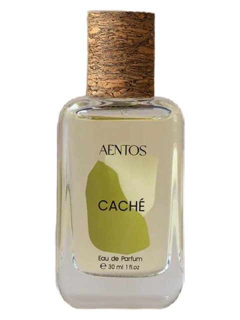 Caché 枝节光