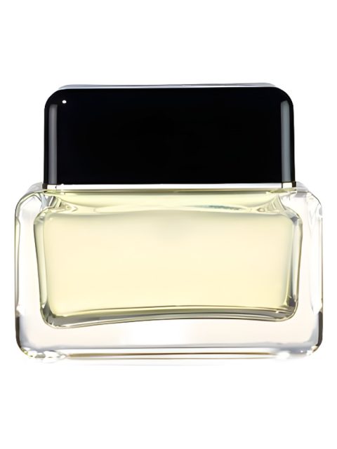 Marc Jacobs Men