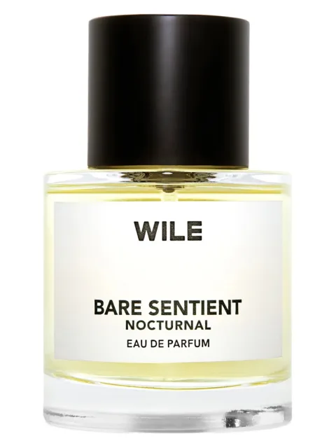 Bare Sentient Nocturnal
