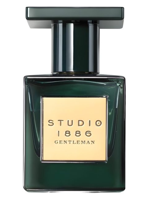 Studio 1886 Gentleman