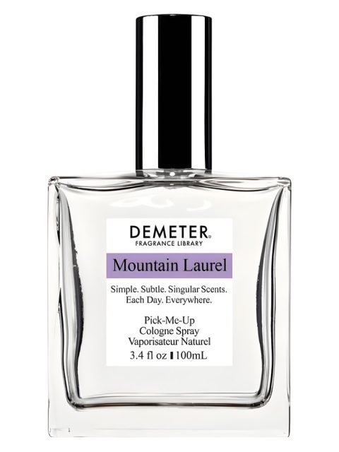 Mountain Laurel