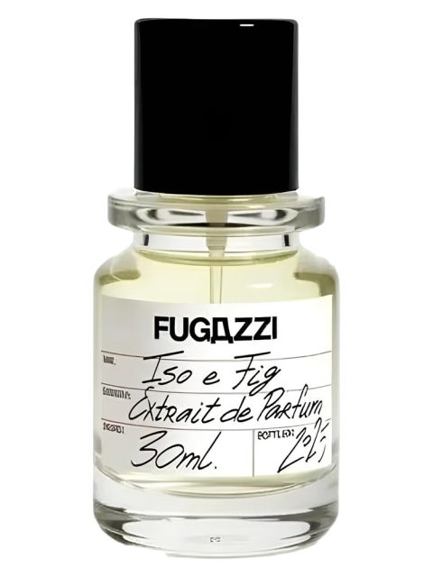 ISO E FIG