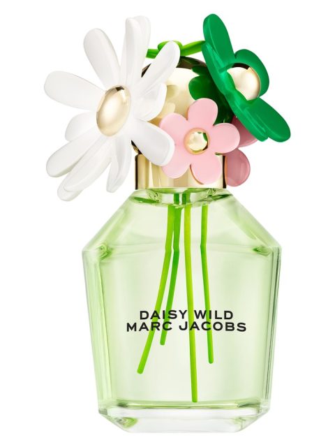 Daisy Wild