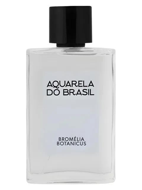 Bromélia Botanicus