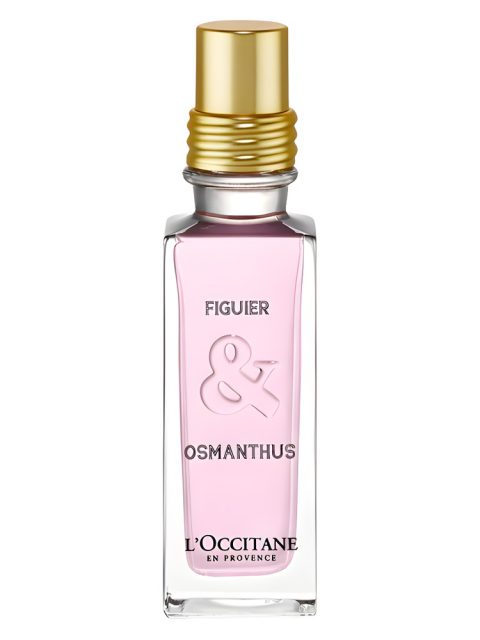 Figuier & Osmanthus