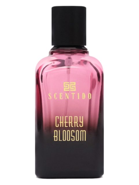 Cherry Blossom