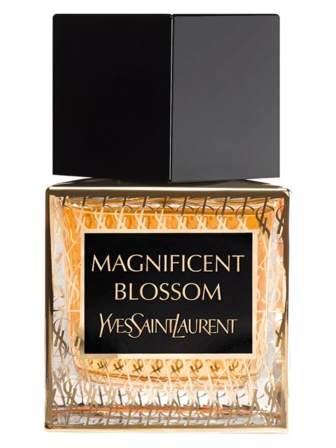 Magnificent Blossom