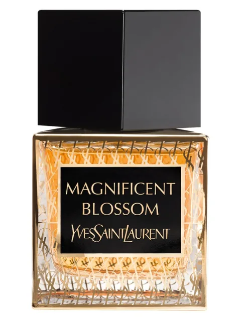 Magnificent Blossom