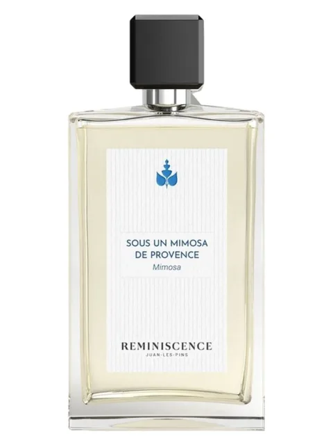 Sous un Mimosa de Provence