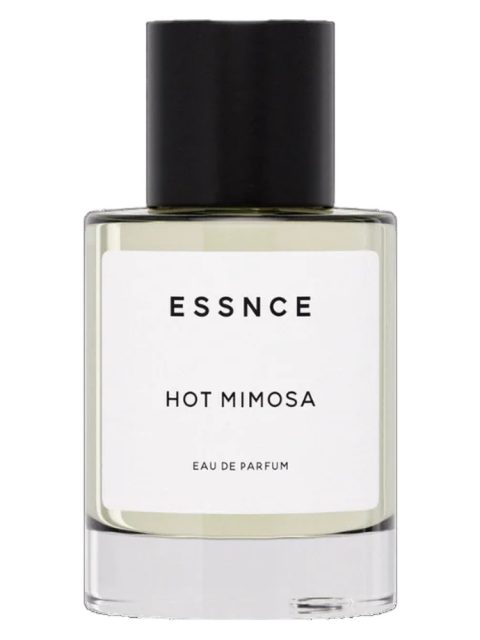 Hot Mimosa