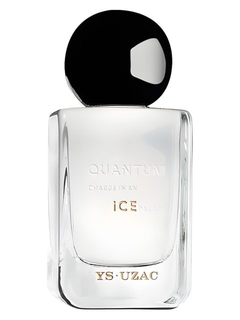Quantum Charge In An Ice Palace