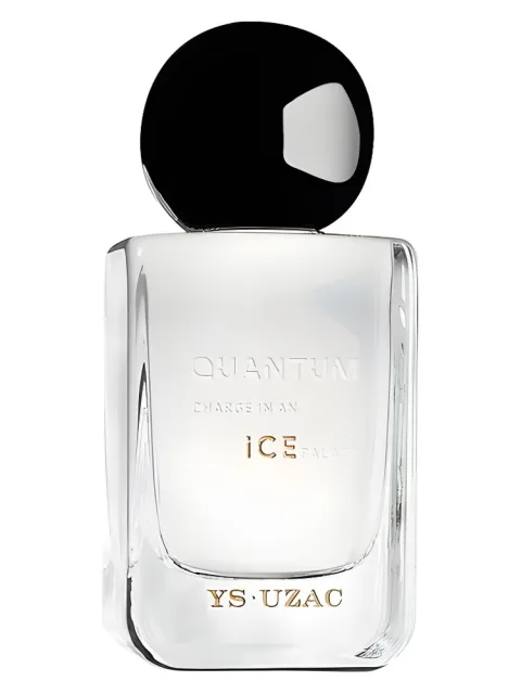 Quantum Charge In An Ice Palace
