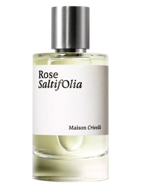 Rose SaltifOlia