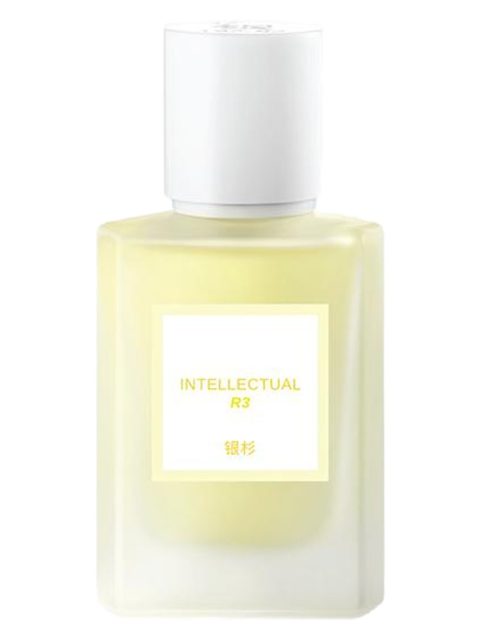 Intellectual 高知