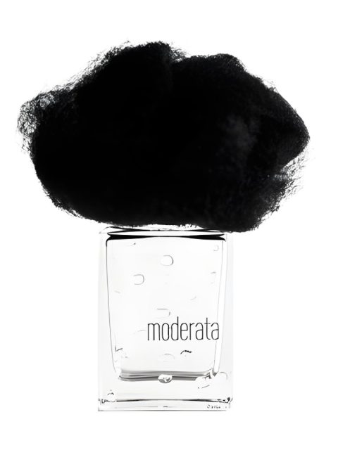 Pioggia Moderata