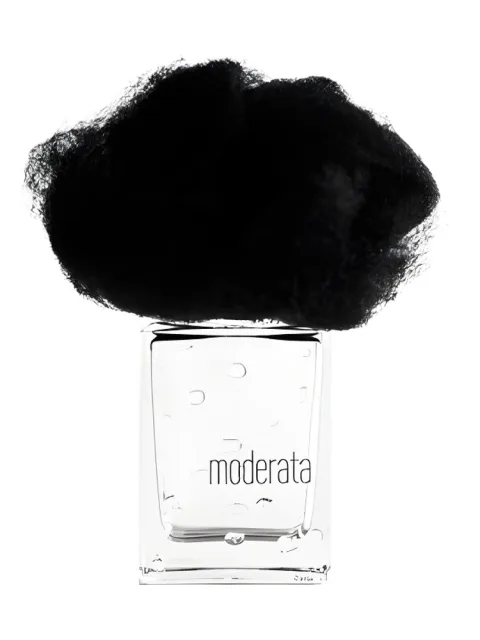 Pioggia Moderata