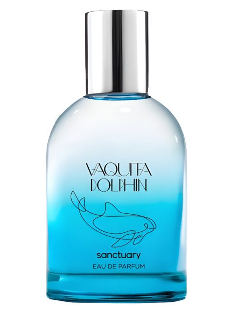 Vaquita Dolphin