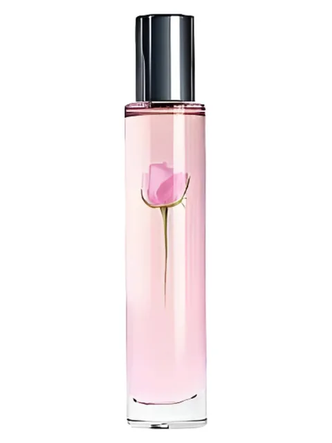 Sheer Rose