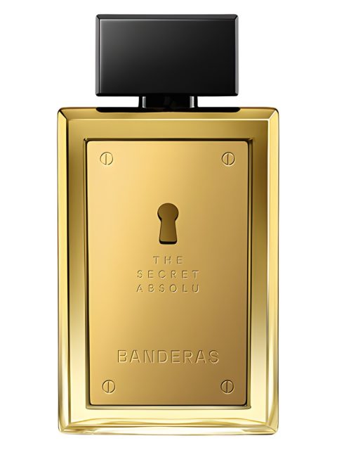 The Secret Absolu