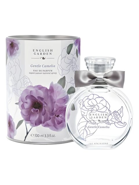 Gentle Camelia