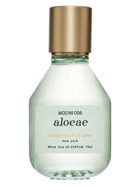 Aloeae