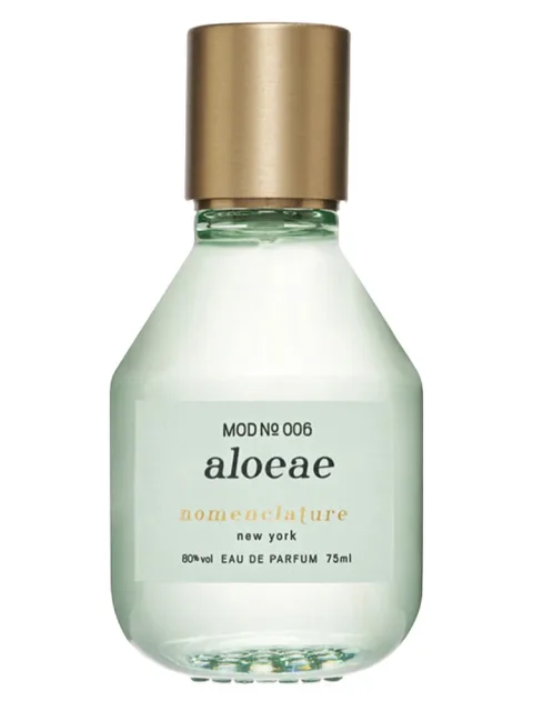 Aloeae