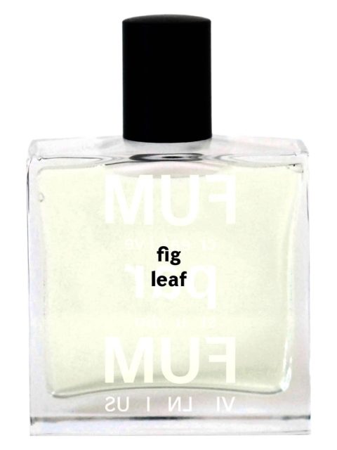 Fig Leaf